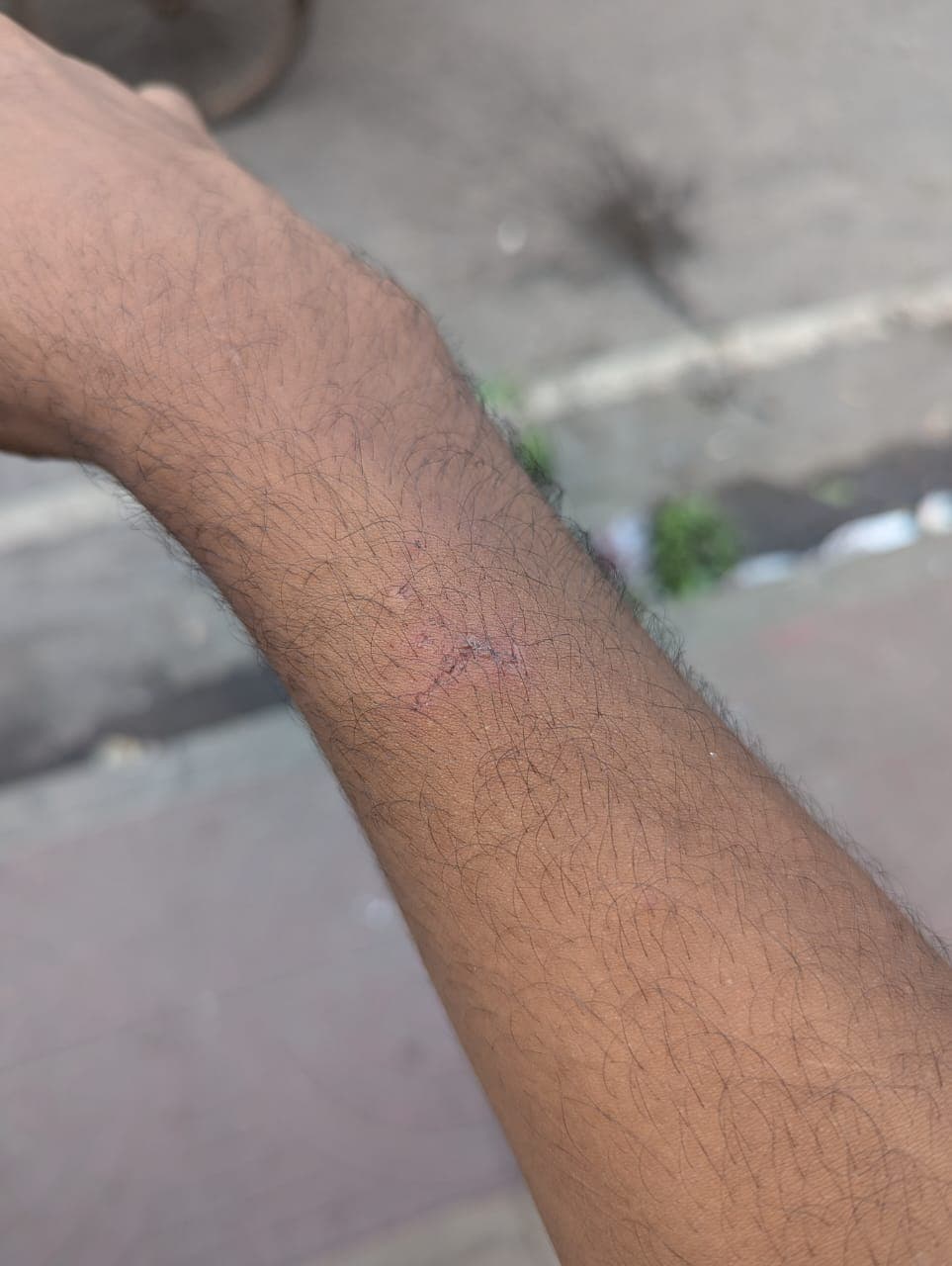 জুলাই আন্দোলনে সক্রিয় অংশগ্রহণ